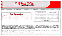 K N Jain & Co.